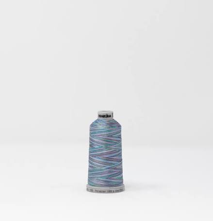 1606 Polyneon 40wt – 1000m Variegated